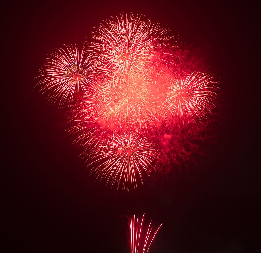 red fireworks at night, firework display, celebration, event HD wallpaper