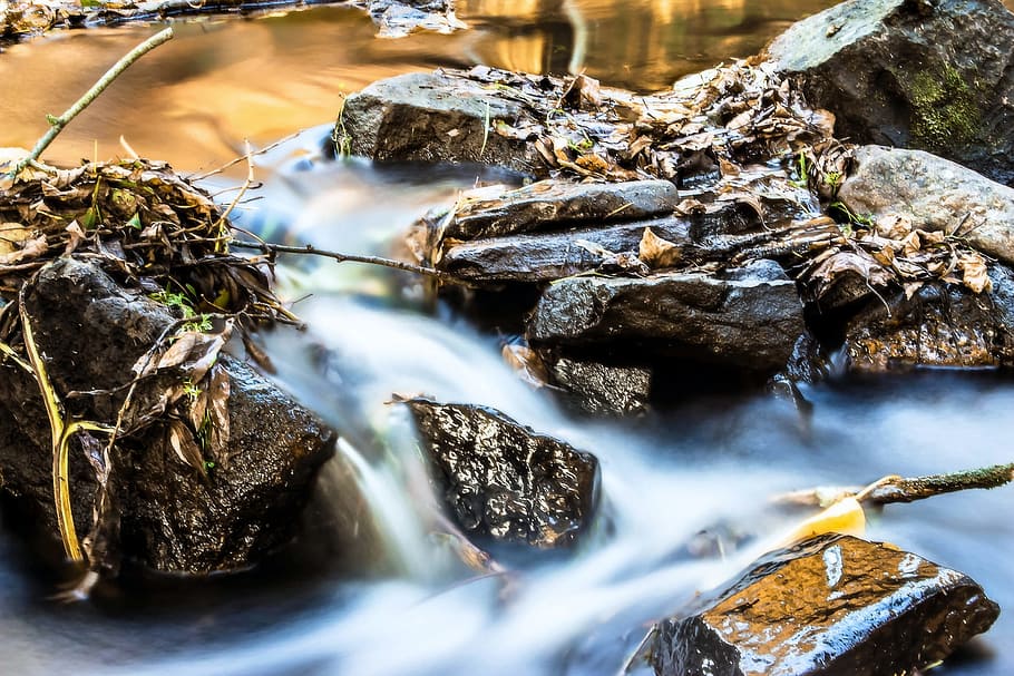 water, flow, nature, stream, river, jungle, wild, forest, rainforest HD wallpaper