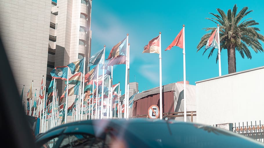 assorted flags during daytime, architecture, built structure HD wallpaper
