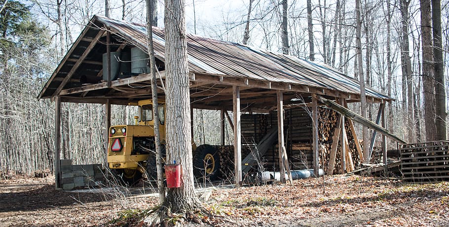 canada, goderich, orchard line, forest, trees, car port, machine HD wallpaper