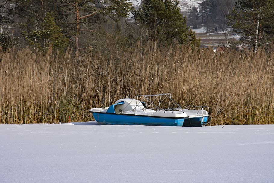winter, snow, water, ice, nature, landscape, cold, wintry, white HD wallpaper