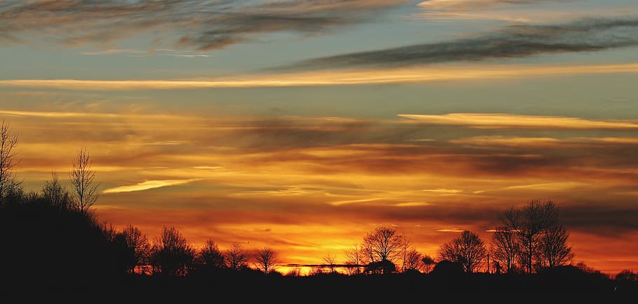 Silhouette of Trees during Golden Hour, backlit, beautiful, clouds HD wallpaper