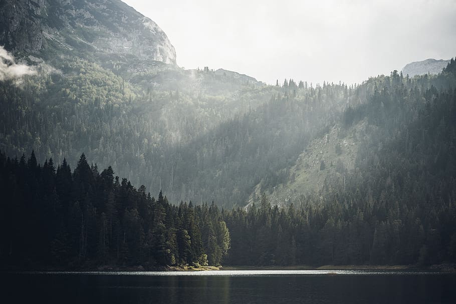 calm body of water, mountain, tree, forest, lake, mist, haze