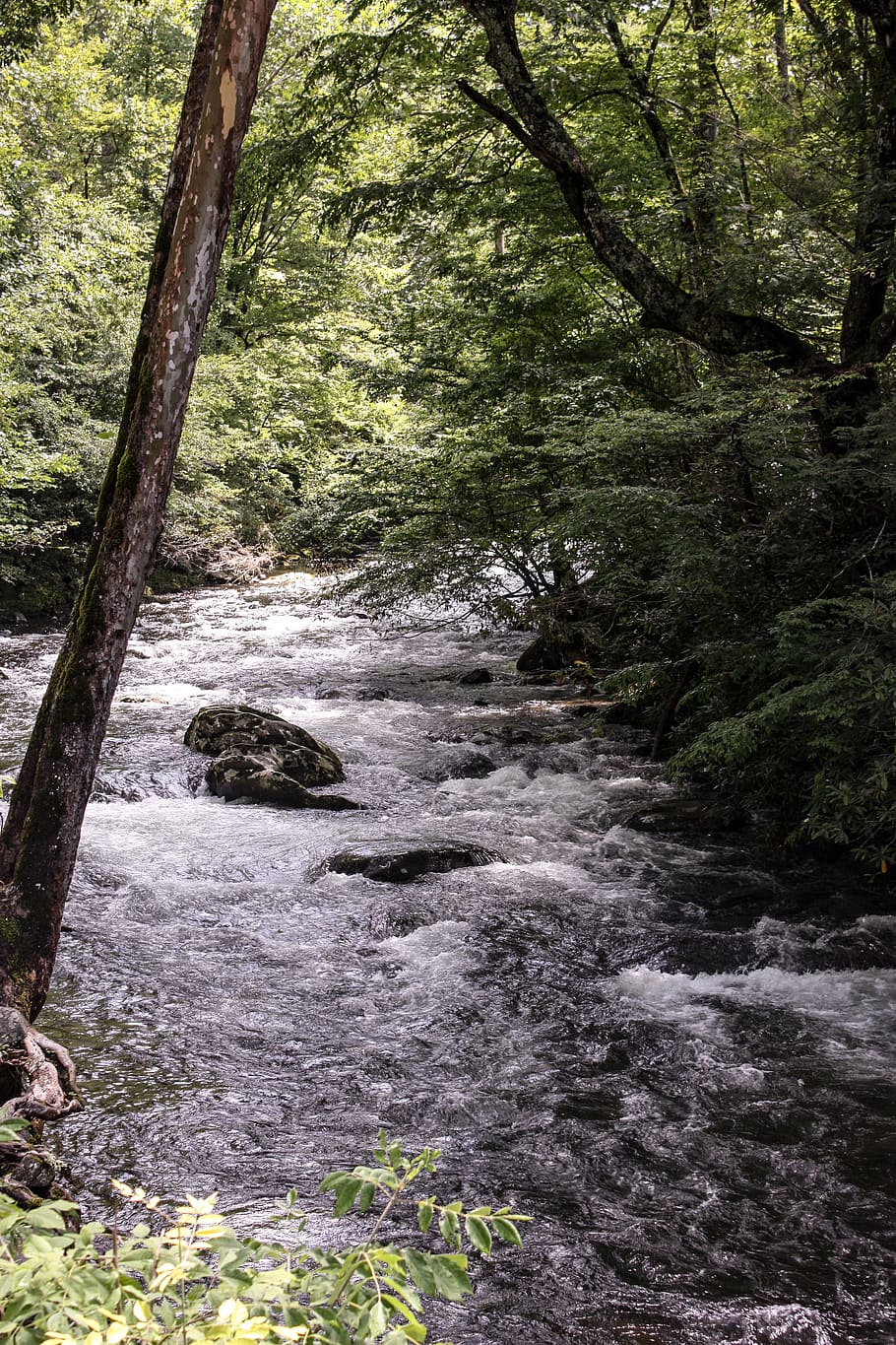 creek, rocks, stream, river, nature, scenic, landscape, stones HD wallpaper