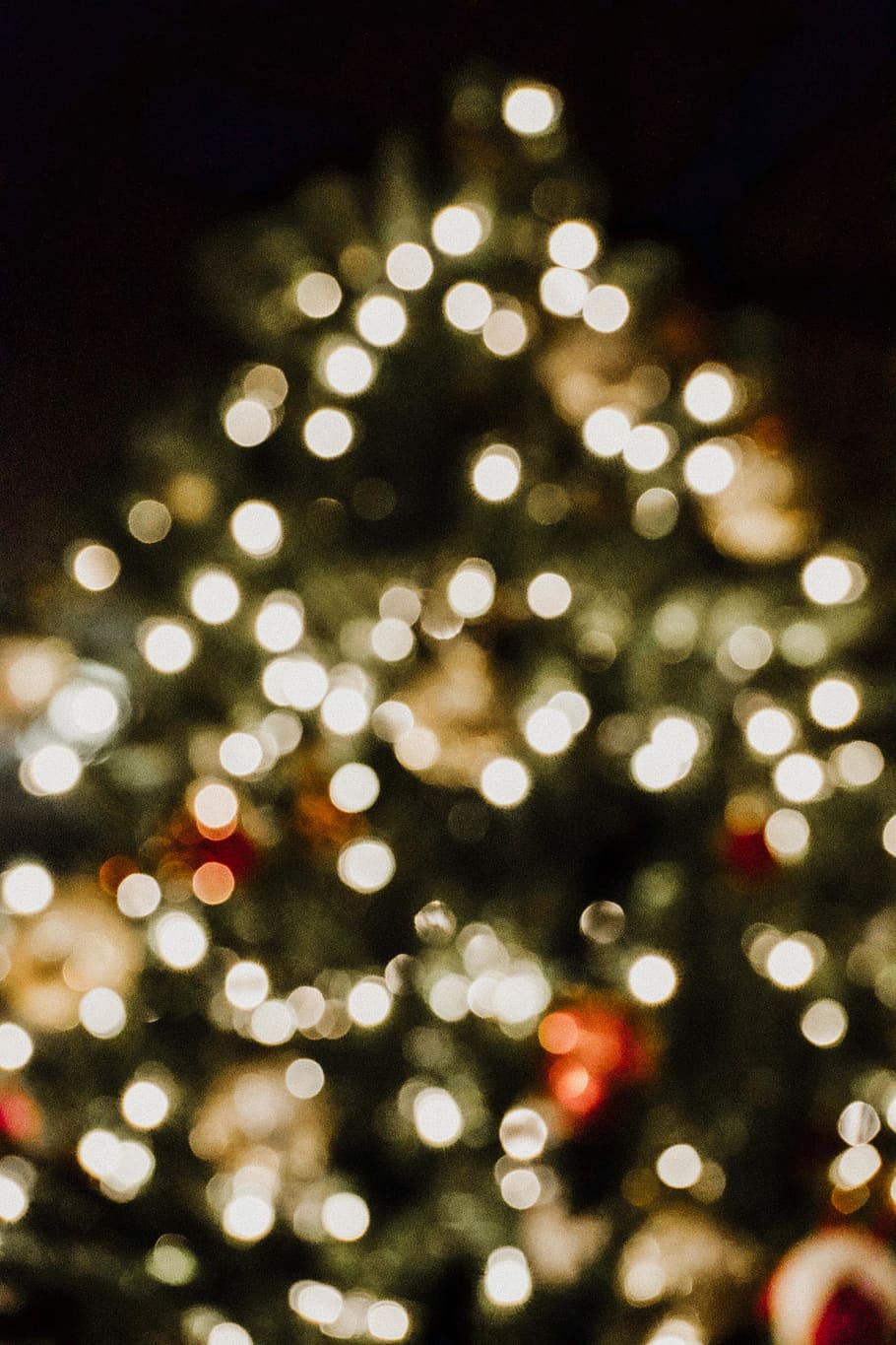 tree, plant, lighting, christmas tree, ornament, fir, abies HD wallpaper