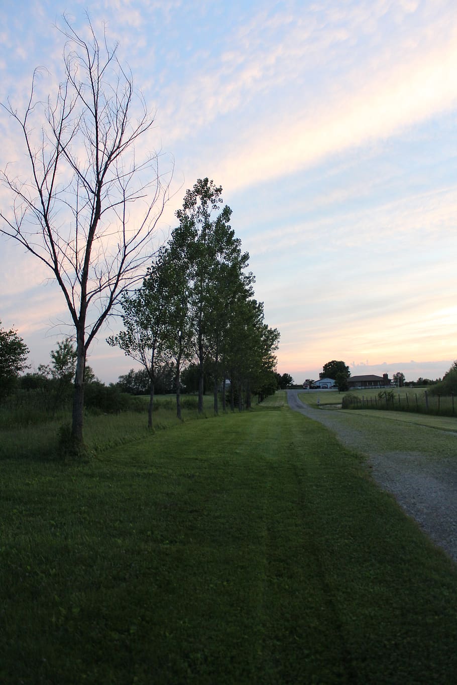 nature, sunset, trees, farm, plant, sky, landscape, scenics - nature HD wallpaper