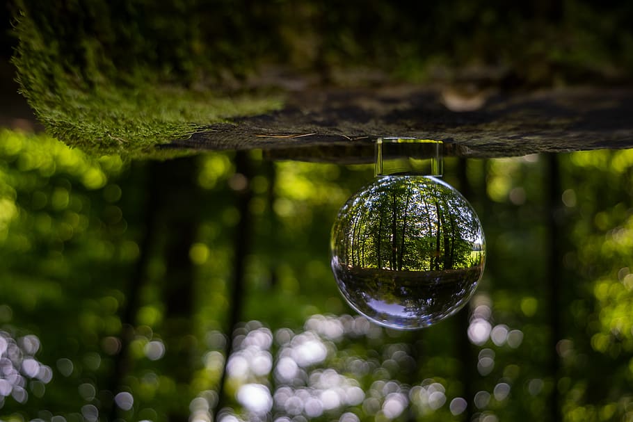 nature, forest, landscape, idyllic, summer, green, silent, enjoy HD wallpaper
