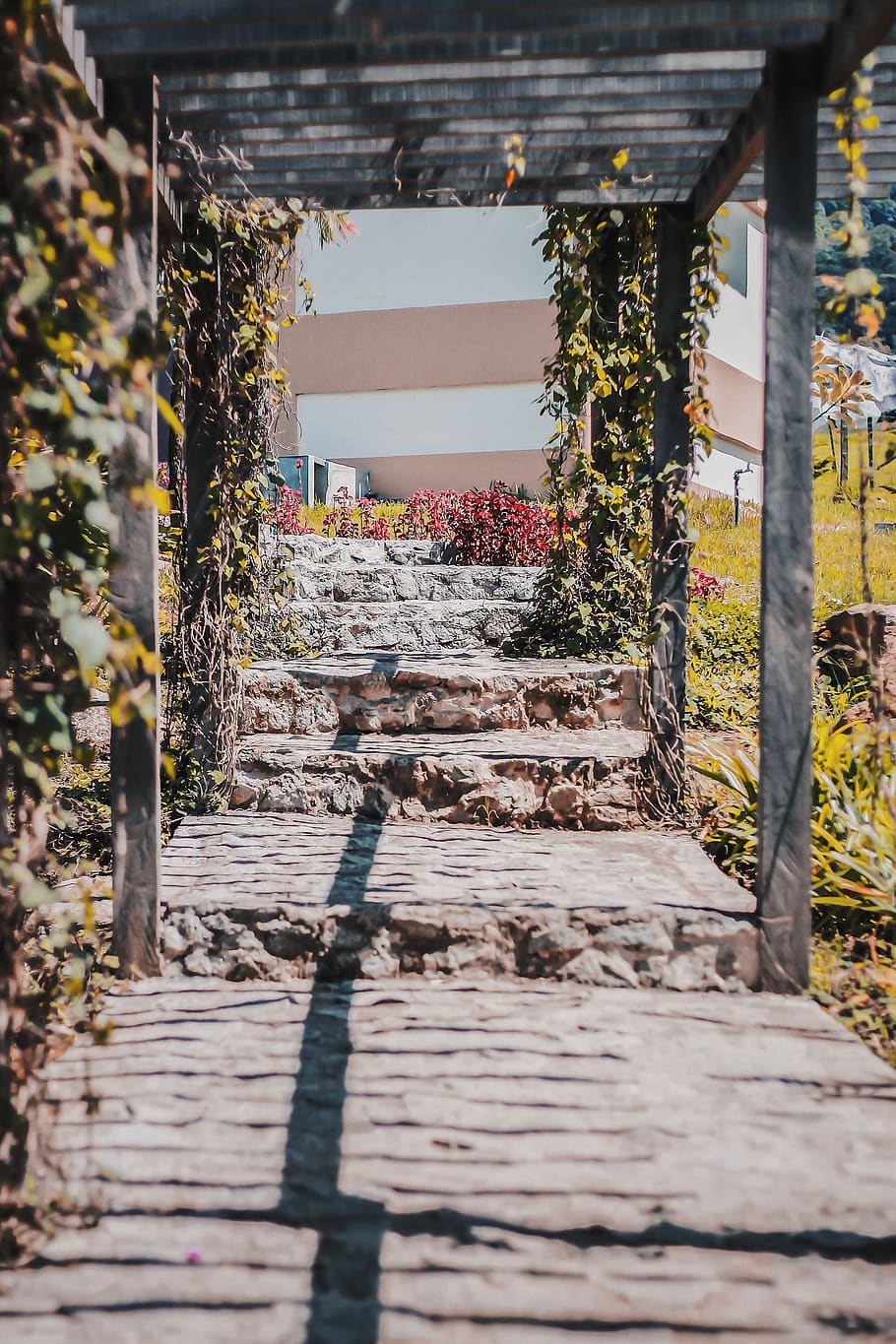 brown stone pathway, architecture, built structure, plant, the way forward HD wallpaper