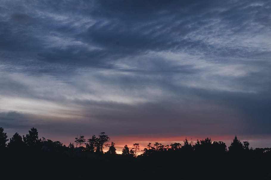 forest, sky, sunset, shillouette, trees, cloudy, nightime, dark HD wallpaper