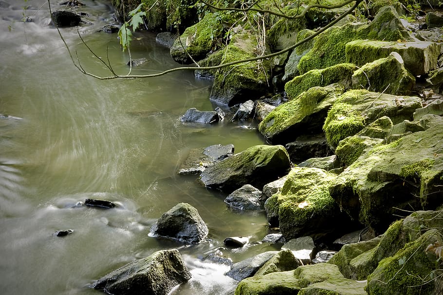 moss, river, landscape, water, nature, rock, rock - object HD wallpaper