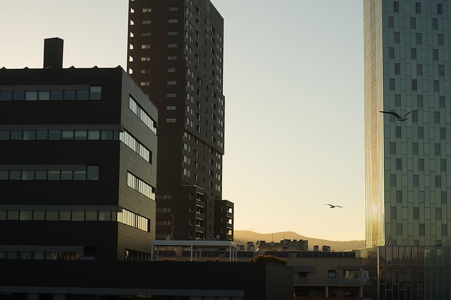 barcelona, spain, light, mountains, seagulls, architecture HD wallpaper