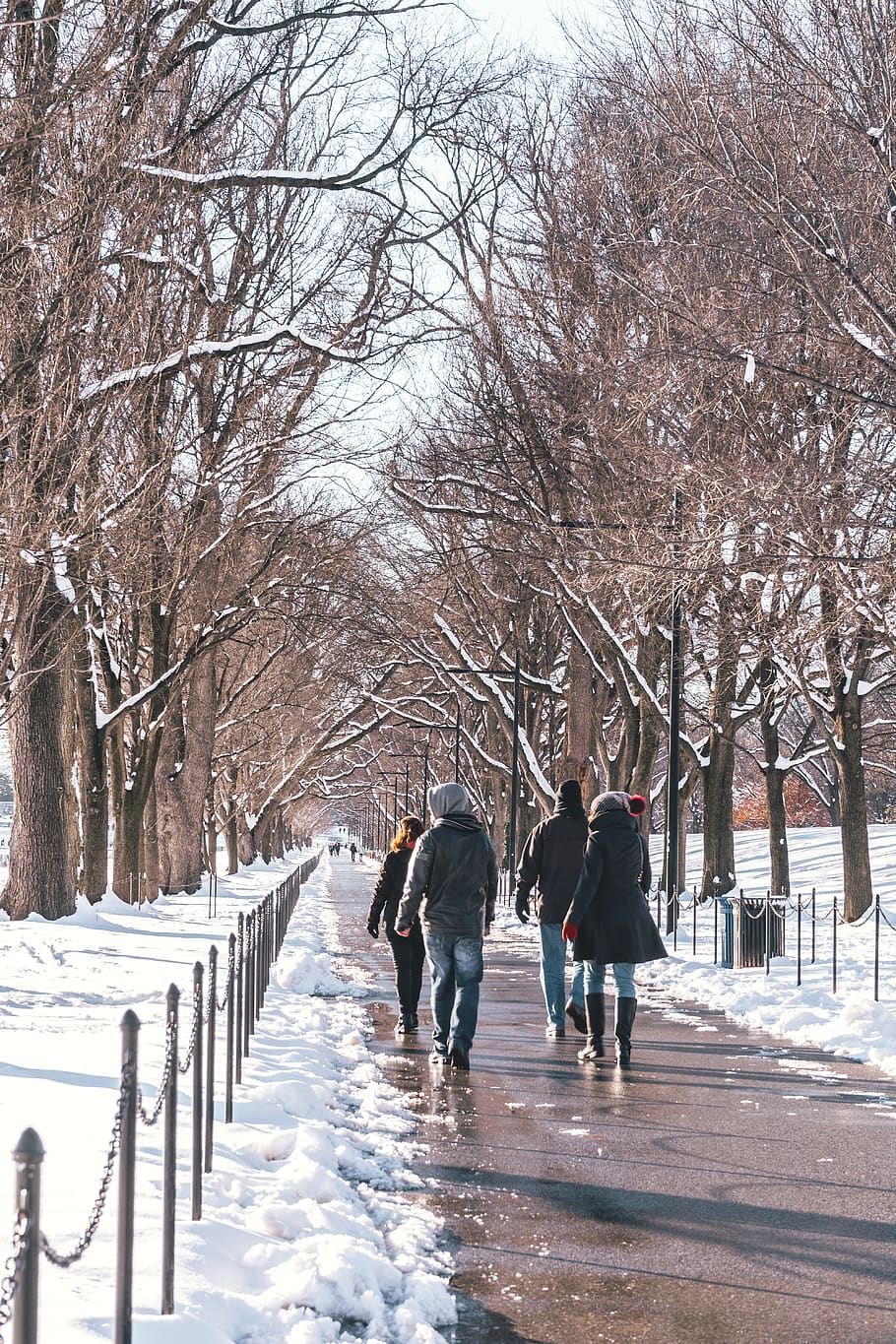person, human, pedestrian, path, clothing, apparel, plant, tree HD wallpaper