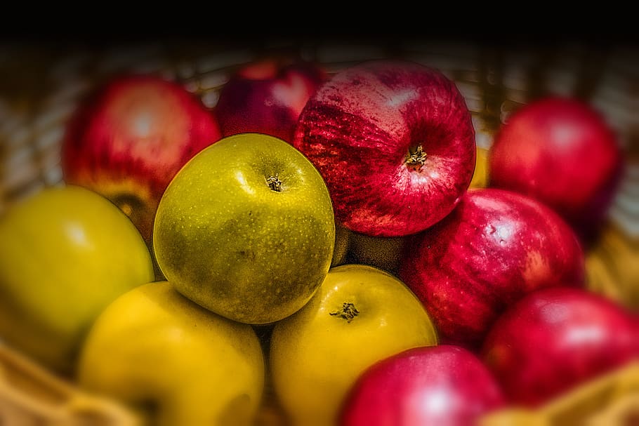 apples, flower, spring, nature, beauty, summer, romantic, petal HD wallpaper