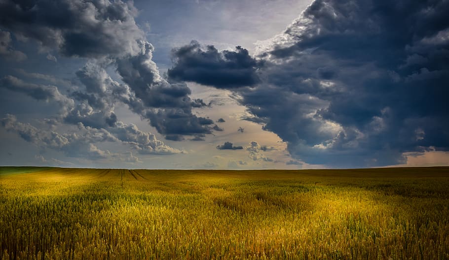 Green Grass Field during Daytime, cloudscape, cloudy skies, crop HD wallpaper