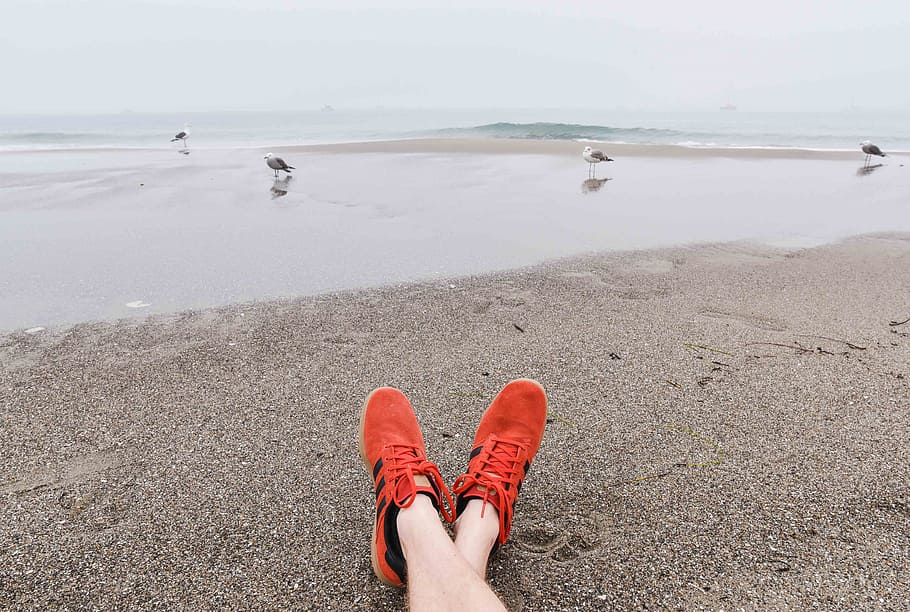 legs, human, activity, Birds, seagull, water, river, low section HD wallpaper