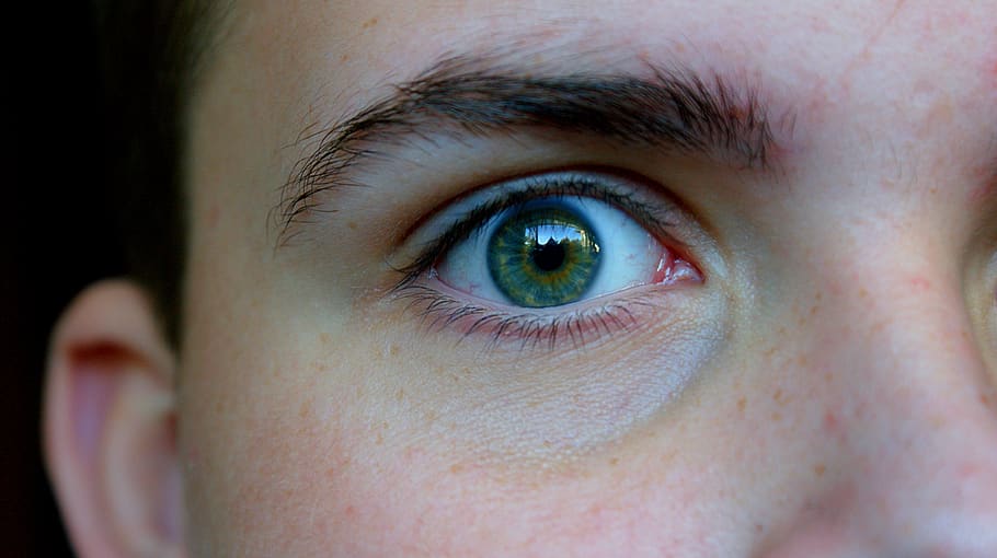 eye, green, iris, eyelashes, gold, freckles, eyebrows, face HD wallpaper