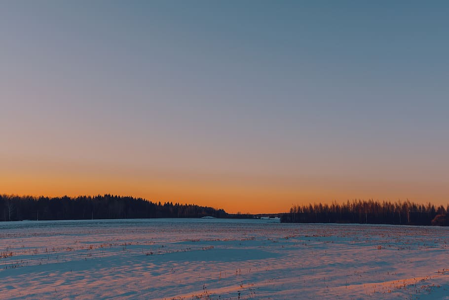 Landscape Photography of Icy Land, clouds, forest, golden hour HD wallpaper