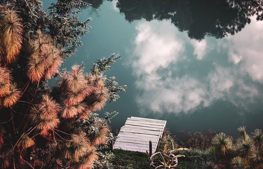Reflection of Trees in the Lake, Dock, Pond, Shoreline, autumn HD wallpaper