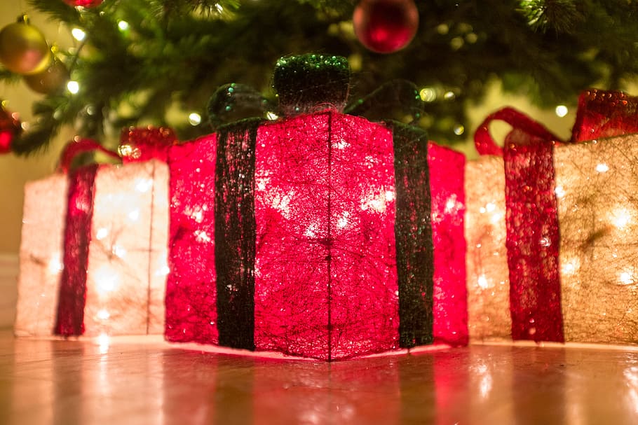 christmas, parcel, light, tree, jolly, present, seasonal, festive HD wallpaper