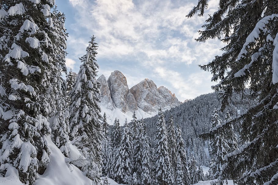 trees covered with snow, mountain, winter, cold, cloud, sky, travel HD wallpaper