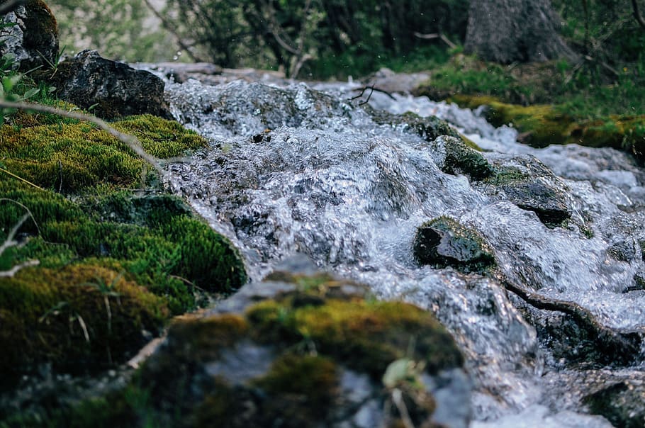 canada, canmore, grassi lakes, flow, water, macro, moss, life HD wallpaper
