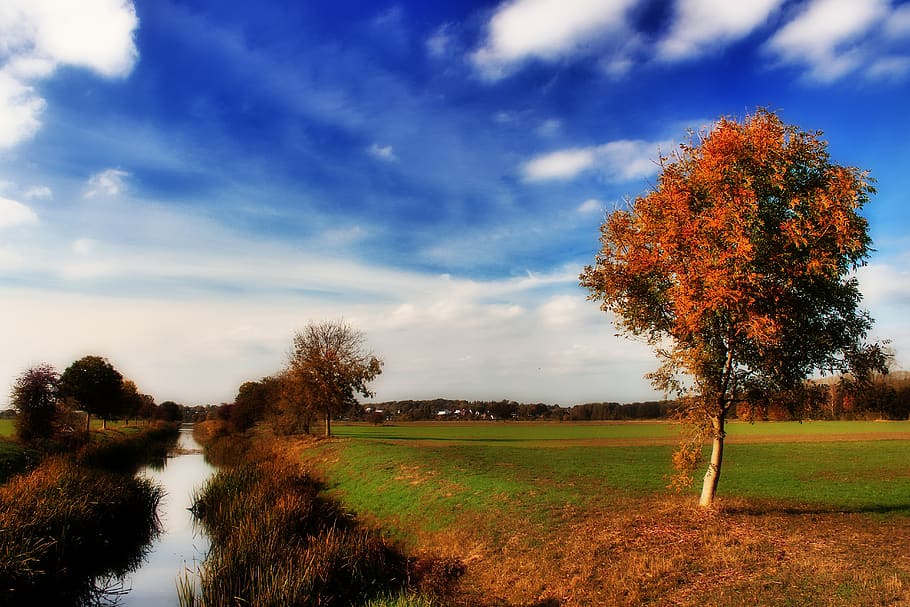 autumn, tree, river, bach, all, northern germany, fall color, HD wallpaper