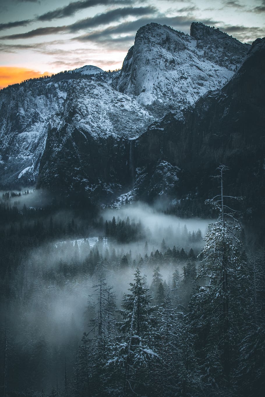 fog covered forest, beauty in nature, scenics - nature, tranquil scene HD wallpaper