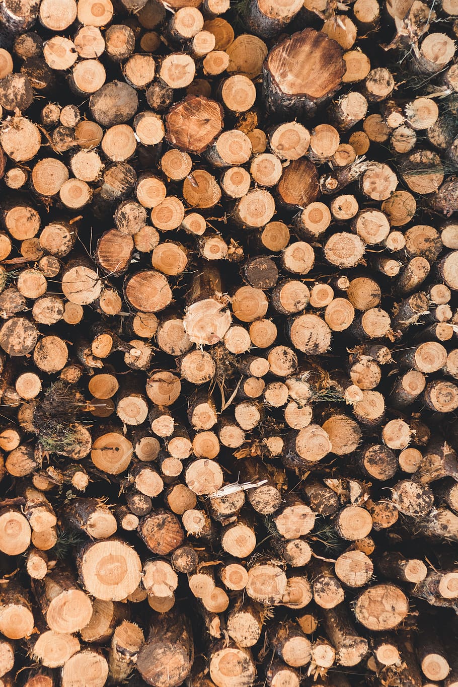 wood slab lot, timber, log, full frame, forest, lumber industry HD wallpaper