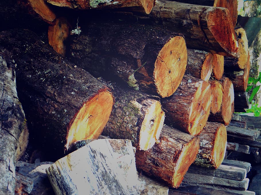 log, timber, wood, wood - material, firewood, deforestation HD wallpaper