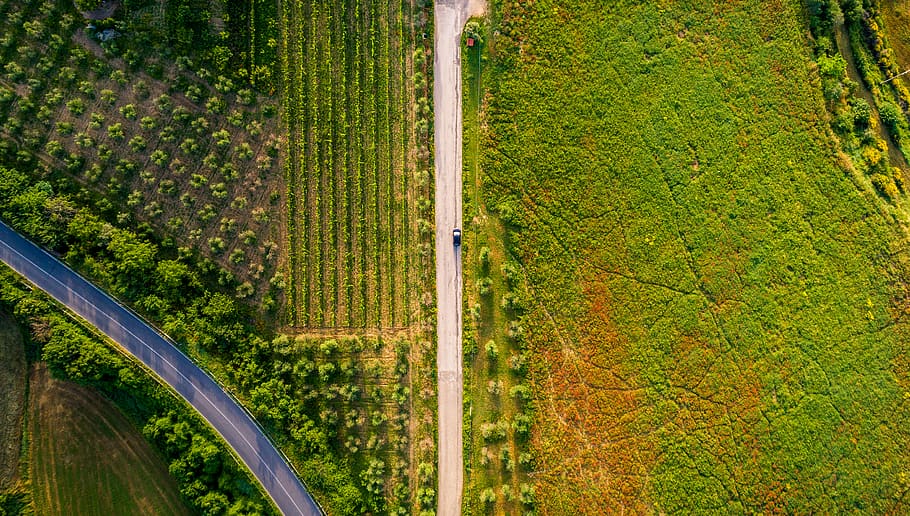 italy, tuscany, field, green, yellow, red, drive, car, drone, HD wallpaper