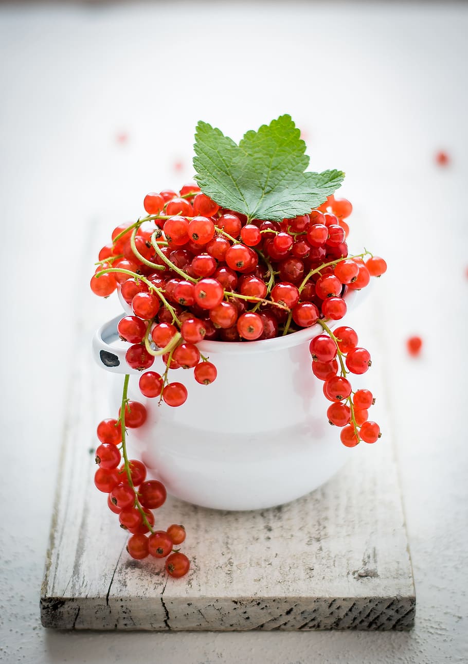 white ceramic bowl filled with red fruits, redcurrant, vine, leaf HD wallpaper