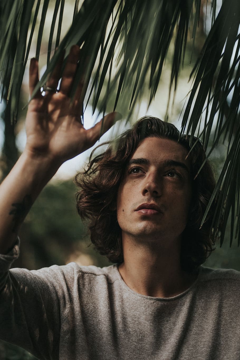 man in grey shirt standing under green palm tree, portrait, one person HD wallpaper