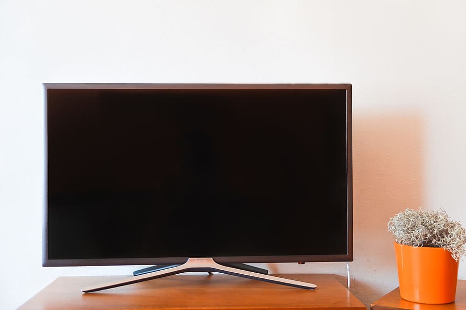 Television, technology, tV, indoors, no people, studio shot, plant HD wallpaper