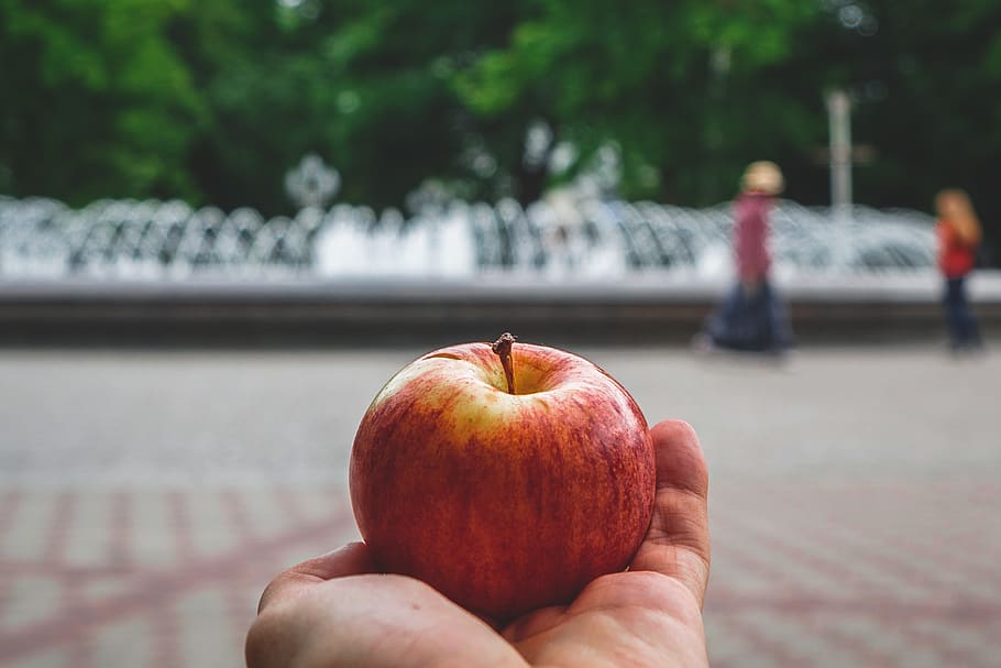 apple, fruit, food, hand, nature, macro, bokeh, food and drink HD wallpaper
