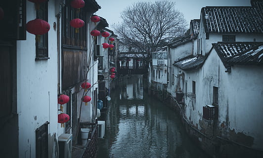 white painted house s, water, outdoors, nature, canal, lake, street HD wallpaper