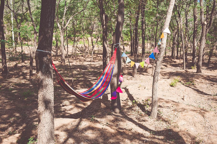 hammock, tree, flag, plant, real people, land, nature, day HD wallpaper
