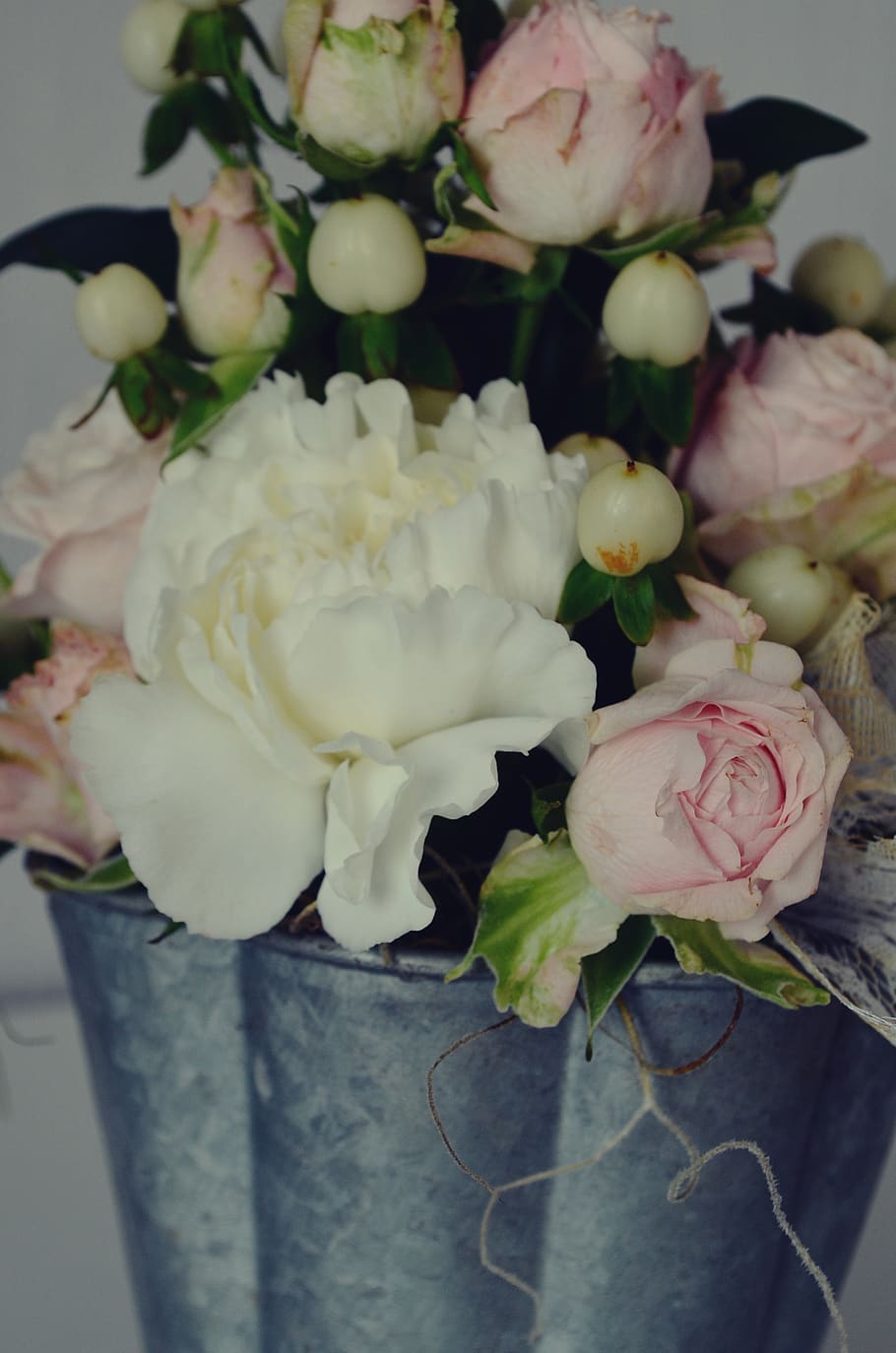 flower, peony, pink, white, bloom, ornamental plant, natural HD wallpaper
