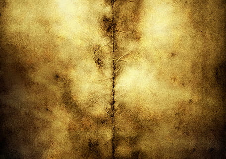 background, border, brown, burned, burnt, canvas, dirt, grunge HD wallpaper