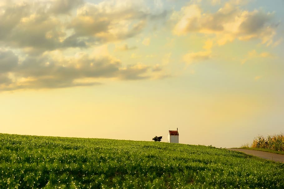 field, summer, green, chapel, landscape, agriculture, clouds HD wallpaper