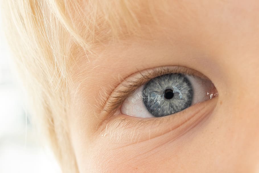 Human Eye, beautiful, beautiful eyes, close-up, cute, eyebrow HD wallpaper