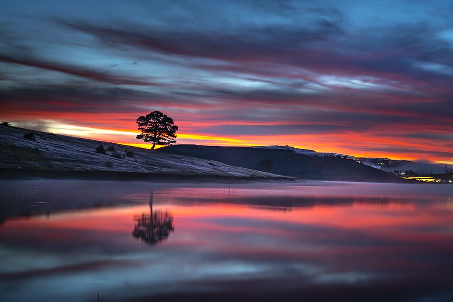 Reflection of Tree on Body of Water during Golden Hour, beach HD wallpaper