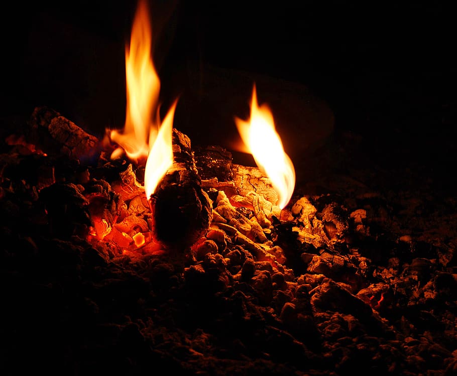 Charcoal on Fire, bonfire, burnt, flames, heat, hot, burning HD wallpaper