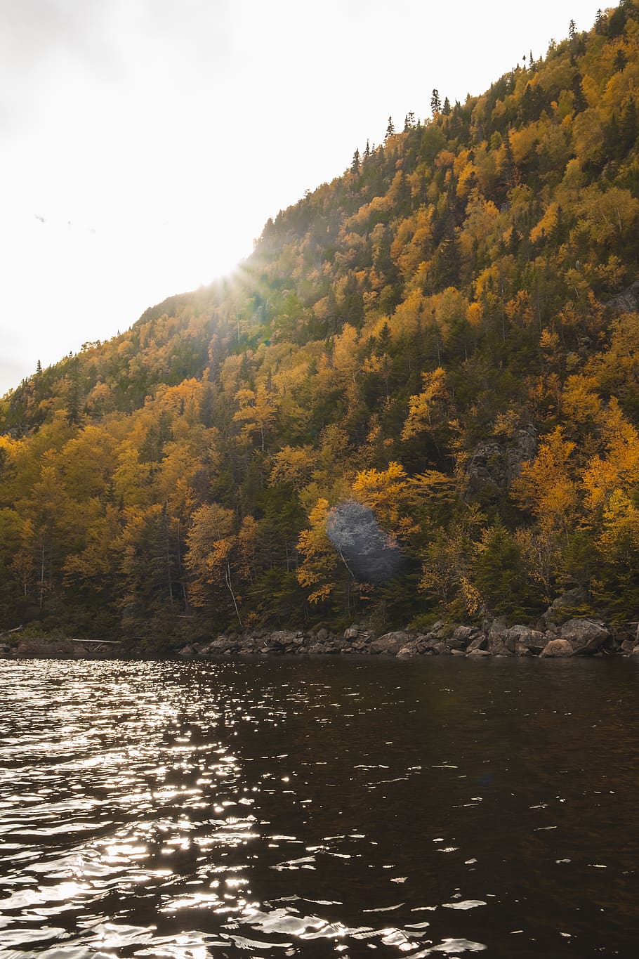 canada, quebec, forest, autumn, trees, river, sun, fall, mountain HD wallpaper