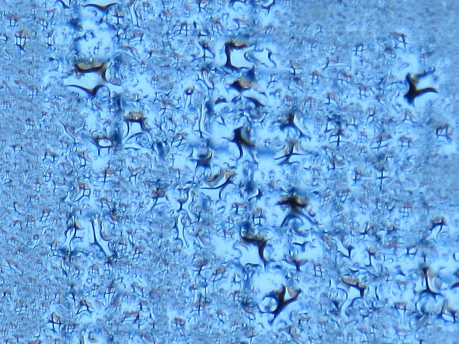 water, dew, grid, full frame, backgrounds, blue, no people HD wallpaper