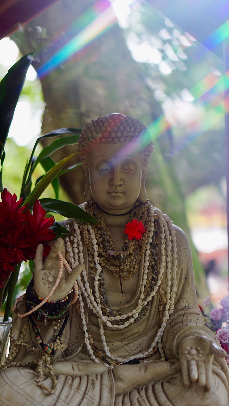 buddha, forest, temple, asian, busshist, human representation HD wallpaper