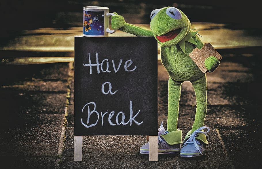 kermit, cup, drink coffee, break, coffee break, coffee cup HD wallpaper