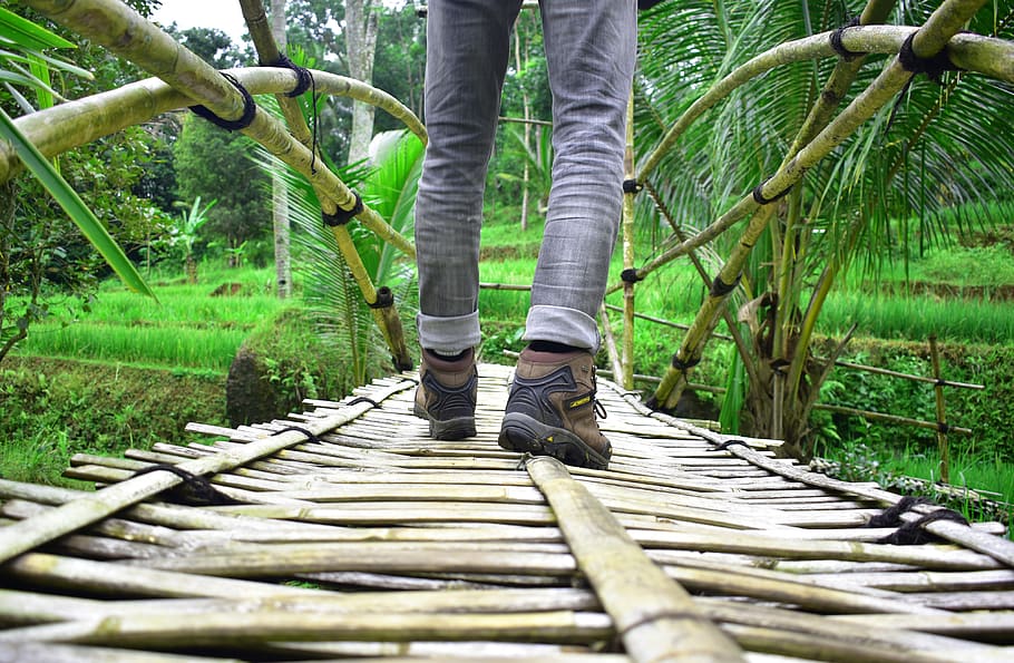 trekking, path, walking, nature, outdoor, young, adventure HD wallpaper