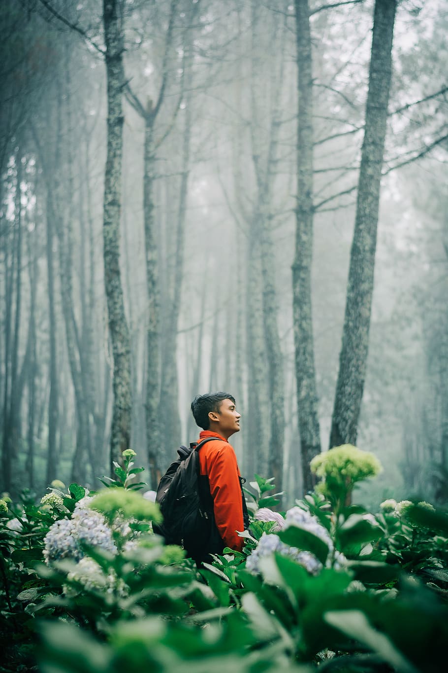 Man Surrounded by Flowers, environment, fog, foggy, forest, person HD wallpaper