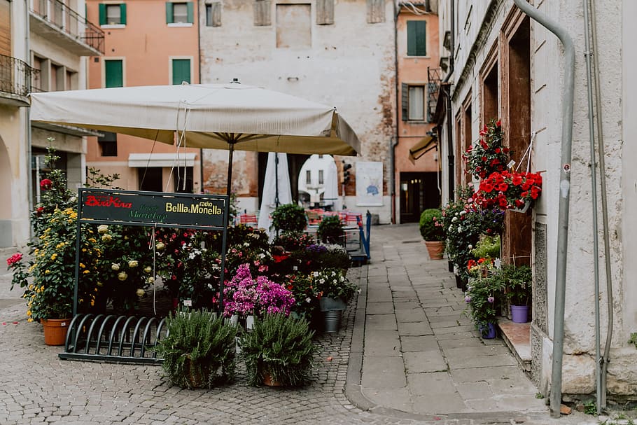 Flower shop in Castelfranco Veneto, Italy, flowers, blooming, HD wallpaper