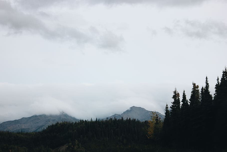 mountains, alaska, trees, orange, sunset, cloud - sky, beauty in nature HD wallpaper